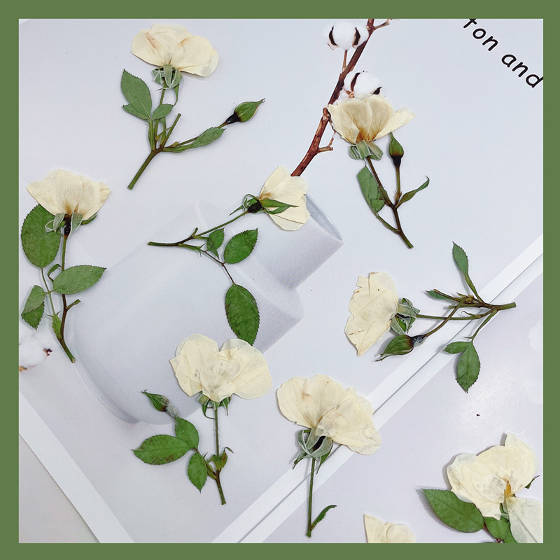 Wedding Card Box - 12 stuks, natuurwit roze rode rozen